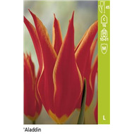 Лилиецветные