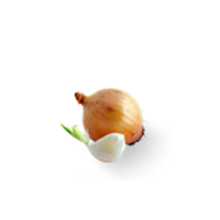 Лук-севок и чеснок