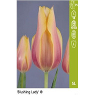 Простые поздние