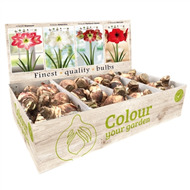 Шоубоксы Kebol