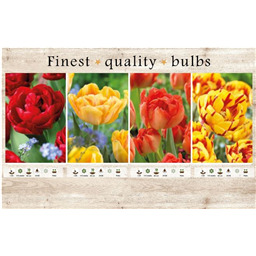 106654 Тюльпаны Махровые Ранние