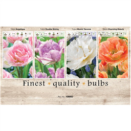 106663 Тюльпаны Махровые Поздние