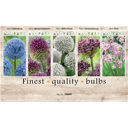 106680 Лук декоративный