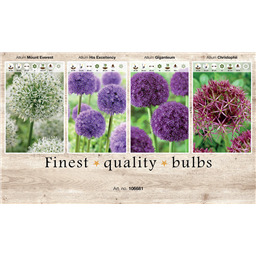 106681 Лук декоративный