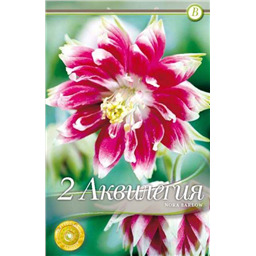 Аквилегия Нора Барлоу