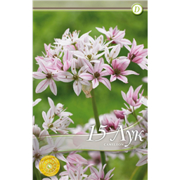 Аллиум Камелион