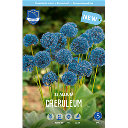 Аллиум Карулеум