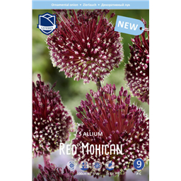 Аллиум Ред Могикан