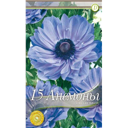 Анемона Лорд Лейтинант