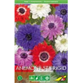 Анемона Ст.Бриджит(упаковка мини)