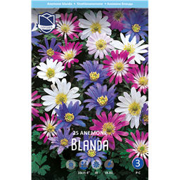 Анемона Бланда