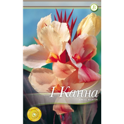 Ангел Мартин