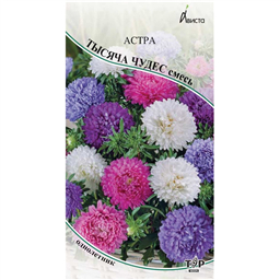 Астра  Тысяча чудес смесь 