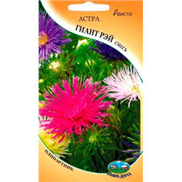 Астра Гиант Рэй смесь