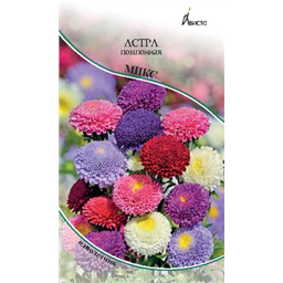 Астра Помпонная микс