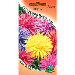 Астра Страусовое перо смесь