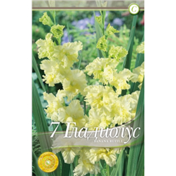 Банана Раффл