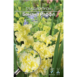 Банана Раффл