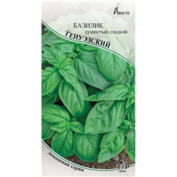 Базилик душистый сладкий Генуэзский