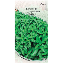 Базилик душистый Глобет