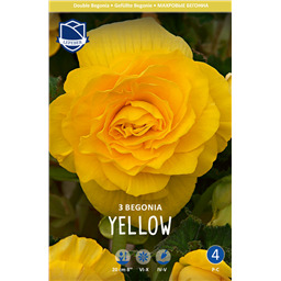 Бегония Махровая Йеллоу