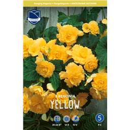 Бегония пендула Йеллоу