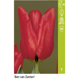 Бен ван Зантен