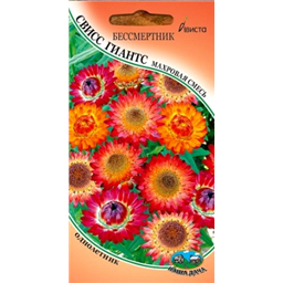 Бессмертник Свисс Гиантс махровая смесь