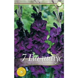 Блэк Вельвет