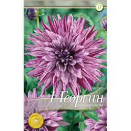 Блэкберри Риппл