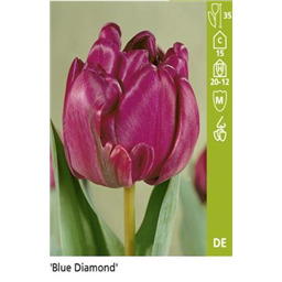 Блю Даймонд