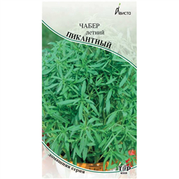 Чабер летний Пикантный