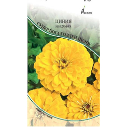 Циния Супер Йога Голден Йелоу