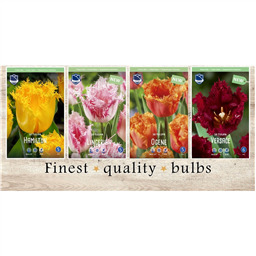 CRT-215 Тюльпаны Бахромчатые(4x50шт.)12/+