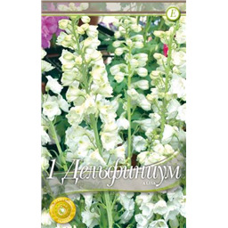 Дельфиниум Алиса