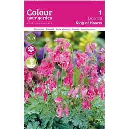 Дицентра Кинг оф Хатс