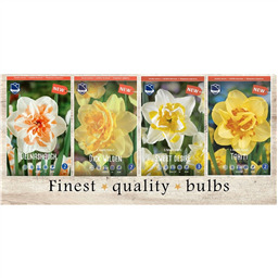 DON-215 Нарциссы Махровые(4x50шт.)12-14