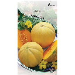 Дыня  Эфиопка 