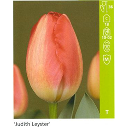 Джудит Лейстер