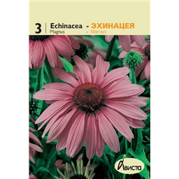 Эхинацея Магнус