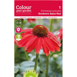 Эхинацея Сомбреро Сальса Рэд
