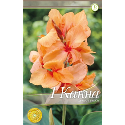 Эприкот Дрим