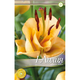 Эприкот Фадж