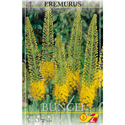 Эремурус Бунгей