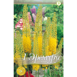 Эремурус Бунгея