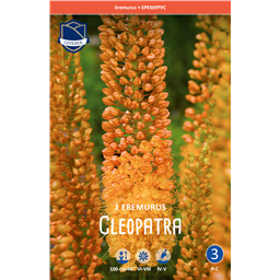 Эремурус Клеопатра