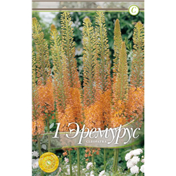 Эремурус Клеопатра