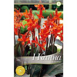 Эрик Нойберт