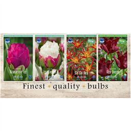 EXT-215 Тюльпаны Экзотические(4x50шт.)12/+