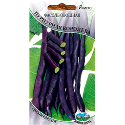 Фасоль овощная Пурпурная Королева